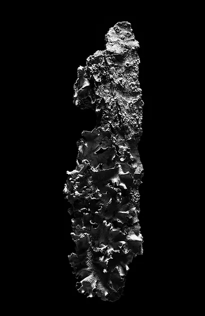 Abstract close-up of a rough textured dark object with jagged edges against a black background, monochrome